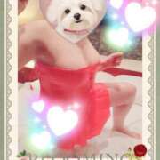 ヒメ日記 2025/05/04 10:18 投稿 野田つばさ ほっこりーヌ谷九店