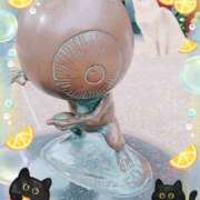 ヒメ日記 2025/05/17 11:21 投稿 野田つばさ ほっこりーヌ谷九店