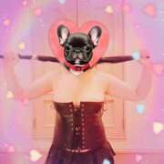 ヒメ日記 2025/05/18 11:12 投稿 野田つばさ ほっこりーヌ谷九店