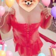 ヒメ日記 2025/05/19 11:52 投稿 野田つばさ ほっこりーヌ谷九店