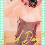 ヒメ日記 2025/05/26 12:55 投稿 野田つばさ ほっこりーヌ谷九店