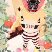 ヒメ日記 2025/06/12 12:47 投稿 野田つばさ ほっこりーヌ谷九店