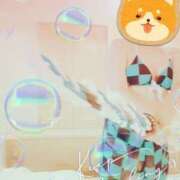 ヒメ日記 2025/06/16 11:46 投稿 野田つばさ ほっこりーヌ谷九店