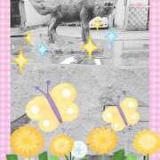 ヒメ日記 2025/06/19 11:03 投稿 野田つばさ ほっこりーヌ谷九店