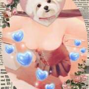 ヒメ日記 2025/06/19 11:15 投稿 野田つばさ ほっこりーヌ谷九店