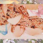 ヒメ日記 2025/06/21 17:14 投稿 野田つばさ ほっこりーヌ谷九店