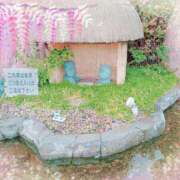 ヒメ日記 2025/06/26 13:28 投稿 野田つばさ ほっこりーヌ谷九店