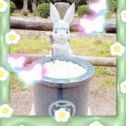 ヒメ日記 2025/08/10 13:14 投稿 野田つばさ ほっこりーヌ谷九店