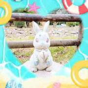 ヒメ日記 2025/08/14 10:53 投稿 野田つばさ ほっこりーヌ谷九店