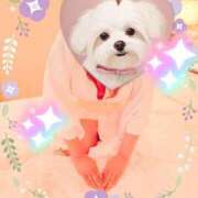 ヒメ日記 2025/08/14 11:01 投稿 野田つばさ ほっこりーヌ谷九店