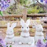 ヒメ日記 2025/08/16 11:57 投稿 野田つばさ ほっこりーヌ谷九店