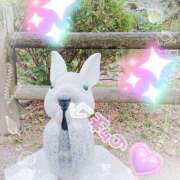 ヒメ日記 2025/08/17 14:51 投稿 野田つばさ ほっこりーヌ谷九店