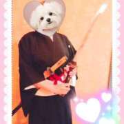 ヒメ日記 2025/08/21 10:04 投稿 野田つばさ ほっこりーヌ谷九店