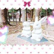 ヒメ日記 2025/08/21 10:05 投稿 野田つばさ ほっこりーヌ谷九店