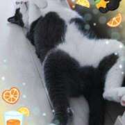 ヒメ日記 2025/08/31 16:32 投稿 野田つばさ ほっこりーヌ谷九店