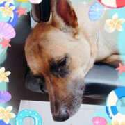 ヒメ日記 2025/09/06 11:16 投稿 野田つばさ ほっこりーヌ谷九店