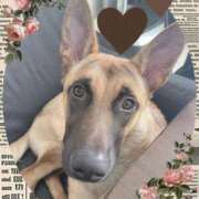 ヒメ日記 2025/09/11 13:34 投稿 野田つばさ ほっこりーヌ谷九店