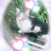 ヒメ日記 2025/09/13 10:17 投稿 野田つばさ ほっこりーヌ谷九店