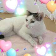 ヒメ日記 2025/09/14 11:12 投稿 野田つばさ ほっこりーヌ谷九店