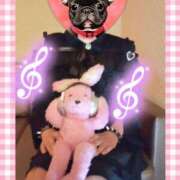 ヒメ日記 2025/09/14 11:22 投稿 野田つばさ ほっこりーヌ谷九店