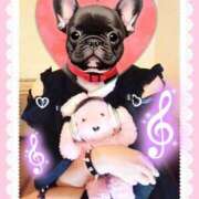 ヒメ日記 2025/09/18 09:36 投稿 野田つばさ ほっこりーヌ谷九店