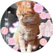 ヒメ日記 2025/09/22 14:48 投稿 野田つばさ ほっこりーヌ谷九店