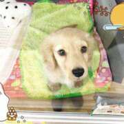 ヒメ日記 2025/09/27 10:15 投稿 野田つばさ ほっこりーヌ谷九店