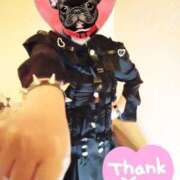 ヒメ日記 2025/09/27 10:37 投稿 野田つばさ ほっこりーヌ谷九店