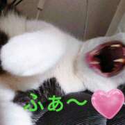 ヒメ日記 2025/09/28 10:16 投稿 野田つばさ ほっこりーヌ谷九店