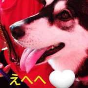 ヒメ日記 2025/09/29 10:15 投稿 野田つばさ ほっこりーヌ谷九店