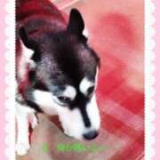 ヒメ日記 2025/10/02 12:36 投稿 野田つばさ ほっこりーヌ谷九店