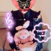 ヒメ日記 2025/10/05 11:05 投稿 野田つばさ ほっこりーヌ谷九店