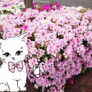 ヒメ日記 2025/10/26 11:08 投稿 野田つばさ ほっこりーヌ谷九店