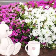 ヒメ日記 2025/10/27 09:38 投稿 野田つばさ ほっこりーヌ谷九店