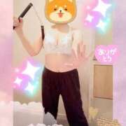 ヒメ日記 2025/10/27 09:52 投稿 野田つばさ ほっこりーヌ谷九店