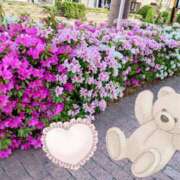 ヒメ日記 2025/10/30 09:43 投稿 野田つばさ ほっこりーヌ谷九店