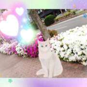 ヒメ日記 2025/11/01 09:56 投稿 野田つばさ ほっこりーヌ谷九店