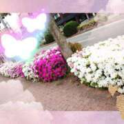 ヒメ日記 2025/11/06 10:00 投稿 野田つばさ ほっこりーヌ谷九店