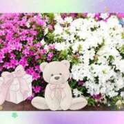 ヒメ日記 2025/11/08 10:35 投稿 野田つばさ ほっこりーヌ谷九店