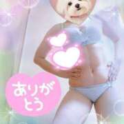 ヒメ日記 2025/11/08 11:11 投稿 野田つばさ ほっこりーヌ谷九店