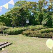 ヒメ日記 2025/11/13 10:31 投稿 野田つばさ ほっこりーヌ谷九店