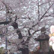 ヒメ日記 2025/11/15 10:48 投稿 野田つばさ ほっこりーヌ谷九店