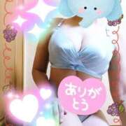 ヒメ日記 2025/11/15 10:51 投稿 野田つばさ ほっこりーヌ谷九店