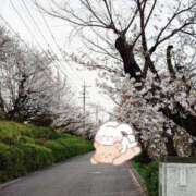 ヒメ日記 2025/11/16 10:52 投稿 野田つばさ ほっこりーヌ谷九店