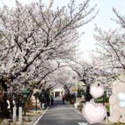 ヒメ日記 2025/11/17 10:22 投稿 野田つばさ ほっこりーヌ谷九店