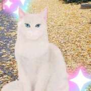 ヒメ日記 2025/11/30 12:36 投稿 野田つばさ ほっこりーヌ谷九店