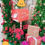 ヒメ日記 2025/12/14 10:19 投稿 野田つばさ ほっこりーヌ谷九店