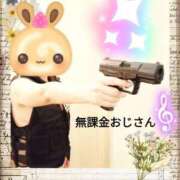 ヒメ日記 2026/01/17 09:37 投稿 野田つばさ ほっこりーヌ谷九店