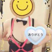 ヒメ日記 2026/02/22 10:17 投稿 野田つばさ ほっこりーヌ谷九店