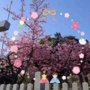 ヒメ日記 2026/03/12 09:59 投稿 野田つばさ ほっこりーヌ谷九店